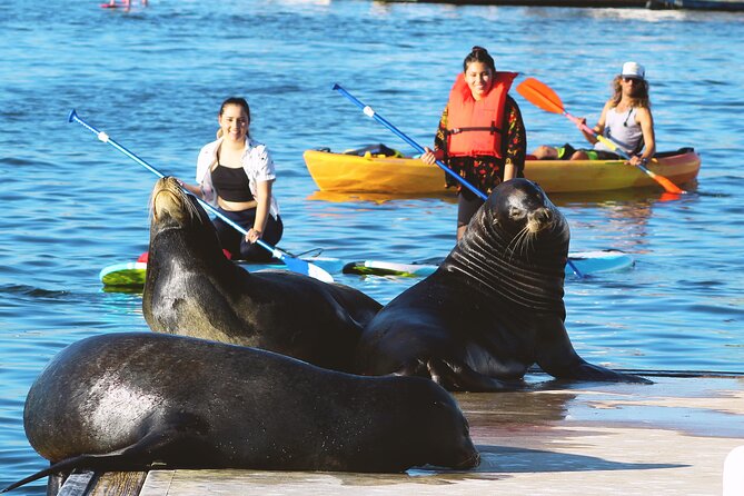 kayak